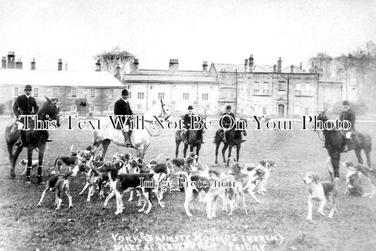 YO 7197 - York & Ainsty Foxhounds, Newburgh Priory, Yorkshire