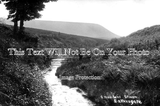 YO 7255 - A Moorland Stream, Saltergate, Yorkshire
