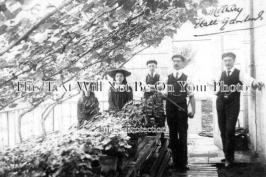 YO 7401 - Methley Hall Greenhouse, Yorkshire c1910