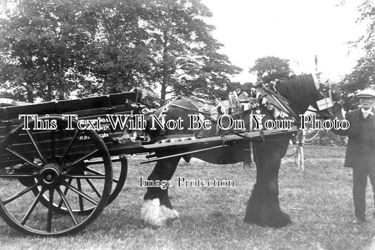 YO 7791 - Heeley Coal Horse & Wagon, Sheffield, Yorkshire