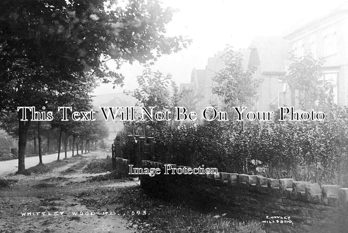 YO 7962 - Whiteley Wood Road, Sheffield, Yorkshire