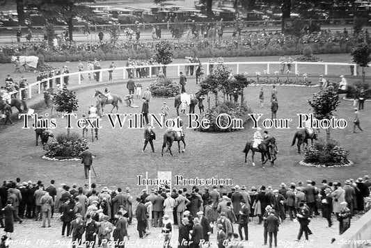 YO 8011 - Inside The Saddling Paddock, Doncaster Race Course, Yorkshire