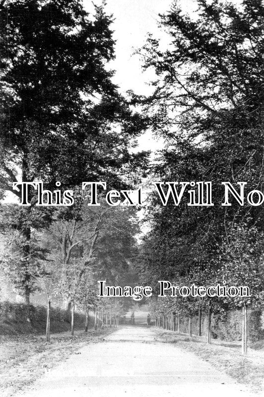 YO 8102 - Heads Lane, Hessle, Yorkshire
