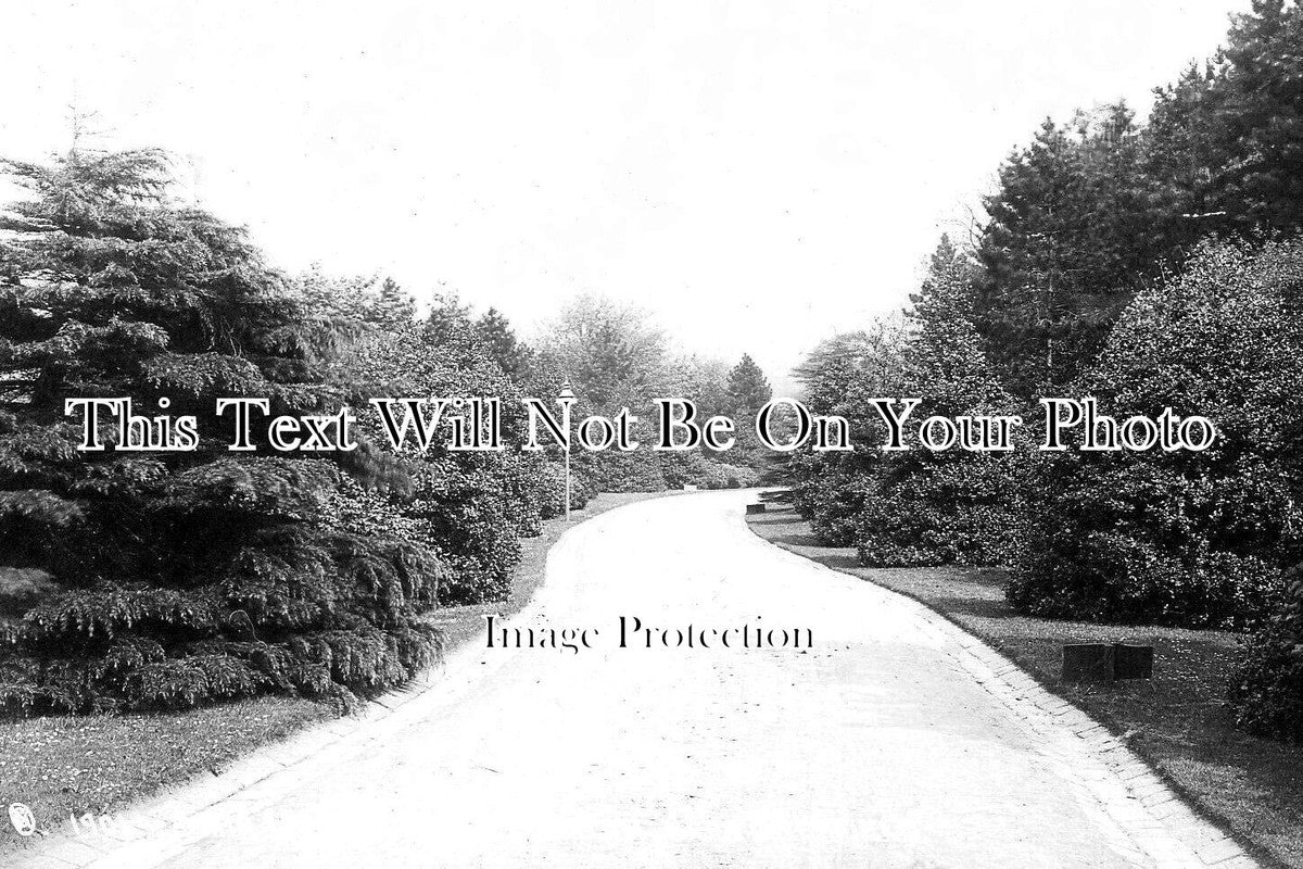 YO 8114 - Main Drive, Wadsley Asylum, Sheffield, Yorkshire c1909