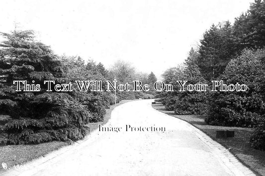 YO 8114 - Main Drive, Wadsley Asylum, Sheffield, Yorkshire c1909