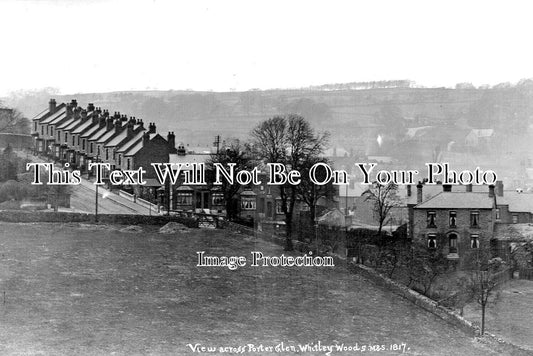 YO 8118 - View Across Porter Glen, Whitley Woods, Sheffield, Yorkshire
