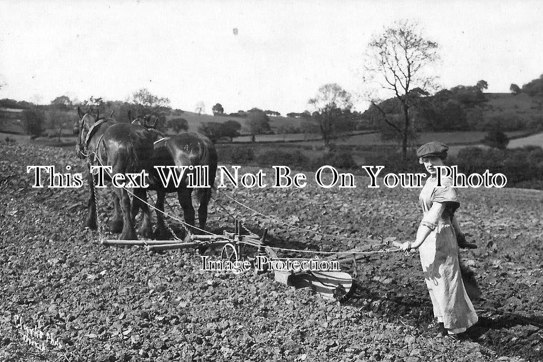 YO 828 - Horse Ploughing, Thirlby Grange, Thirsk, Yorkshire