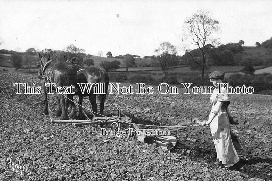 YO 828 - Horse Ploughing, Thirlby Grange, Thirsk, Yorkshire