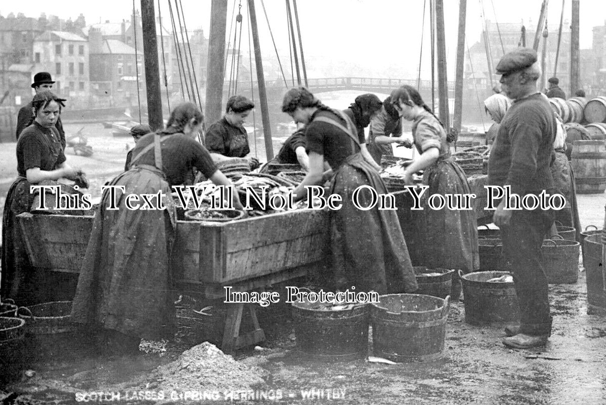 YO 8517 - Scotch Lasses Gipping Herrings, Whitby, Yorkshire