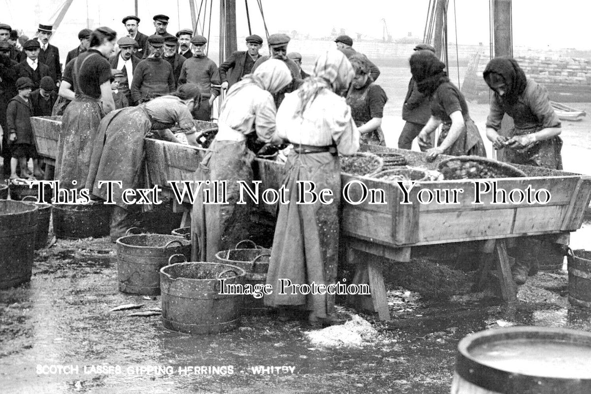 YO 8518 - Scotch Lasses Gipping Herrings, Whitby, Yorkshire