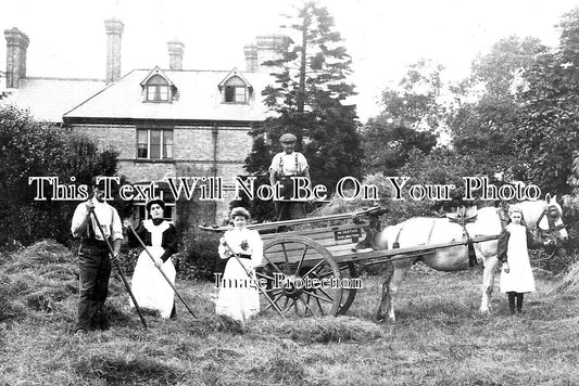 YO 8553 - Hay Making, Farlington, Yorkshire
