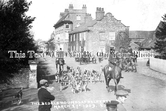 YO 8558 - The Bedale Hounds At Helperby, Yorkshire