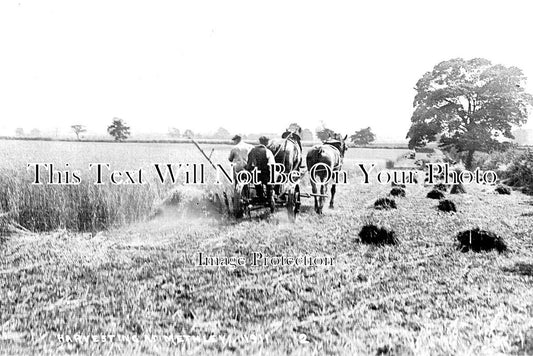 YO 8684 - Harvesting At Methley, Yorkshire c1911