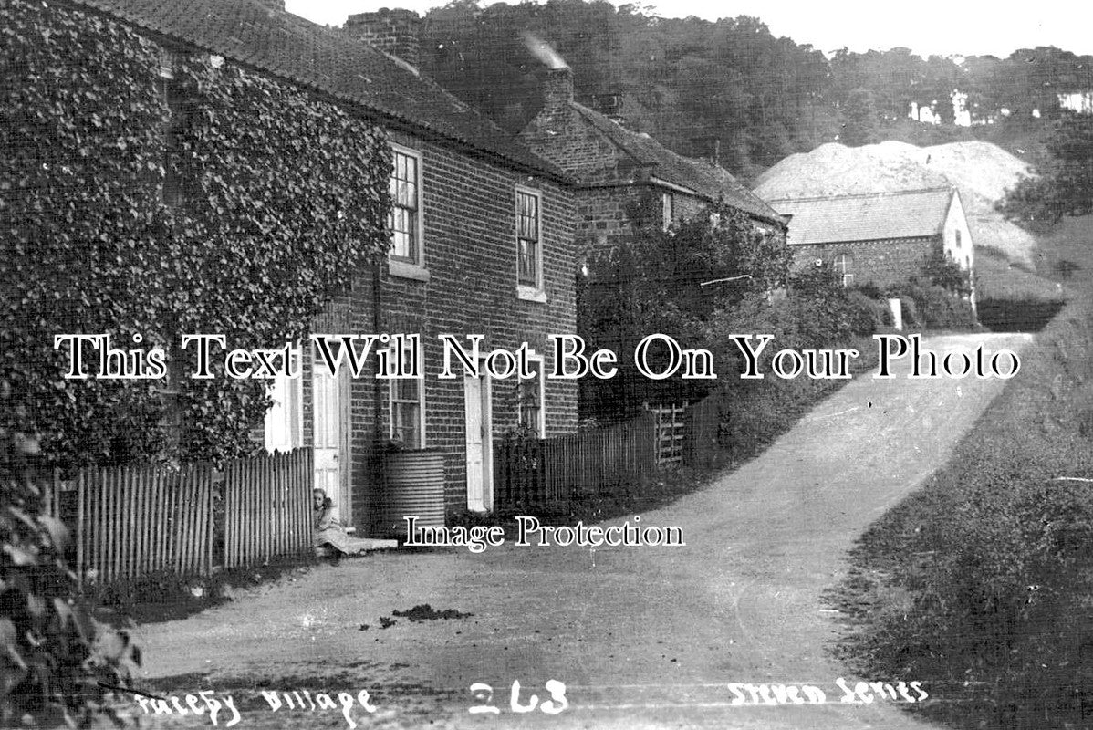 YO 8685 - Faceby Village, Yorkshire c1923