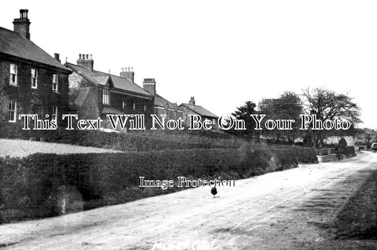 YO 8817 - Main Road, Cattal, Yorkshire c1911