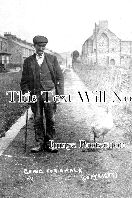 YO 8827 - Goose Walking, Bridlington, Yorkshire c1911
