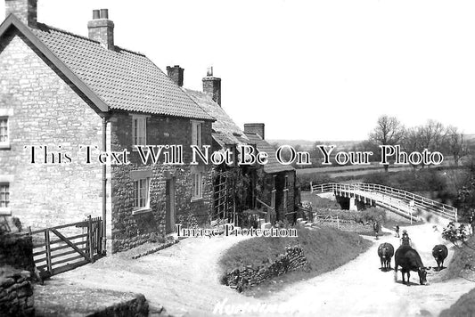 YO 9164 - Church Street, Nunnington, Yorkshire c1937
