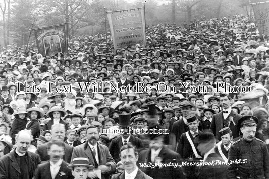 YO 9172 - Whit Monday, Meersbrook Park, Sheffield, Yorkshire