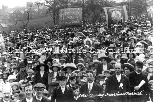 YO 9299 - Whit Monday, Meersbrook Park, Sheffield, Yorkshire