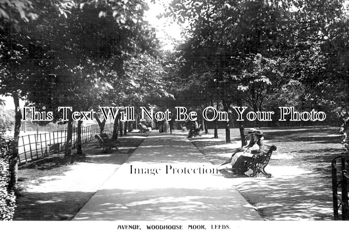 YO 9341 - Avenue, Woodhouse Moor, Leeds, Yorkshire c1912