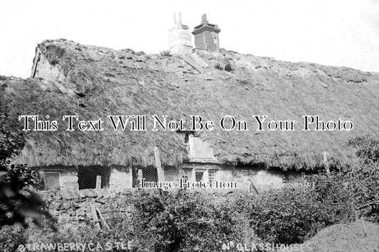 YO 9370 - Strawberry Castle Farm, Glasshouses, Yorkshire c1908