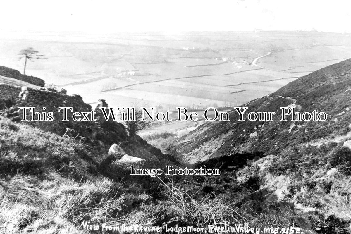 YO 9408 - View From Ravine, Lodge Moor, Rivelin Valley, Sheffield