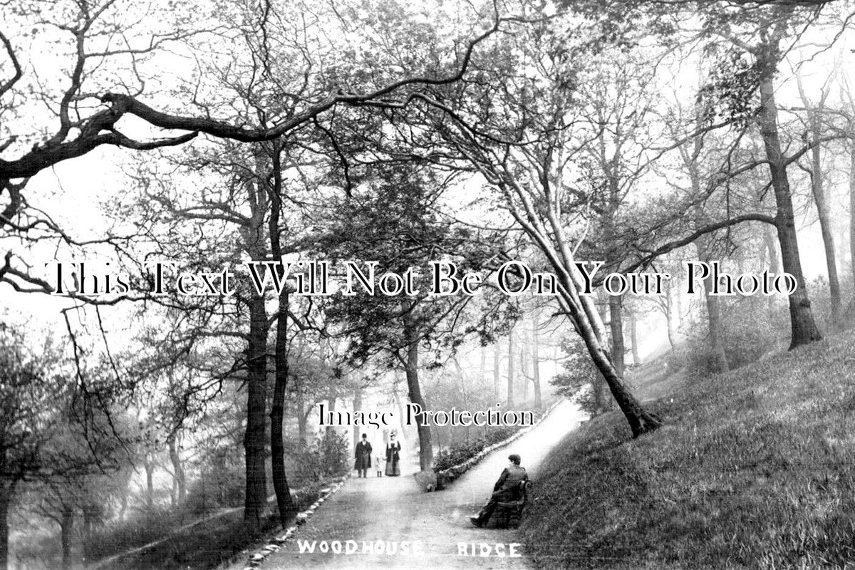 YO 9513 - Woodhouse Ridge, Leeds, Yorkshire – JB Archive